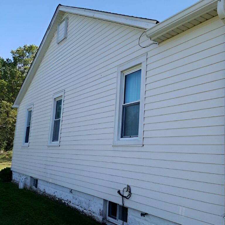 vinyl house washing service